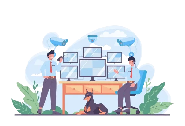 Surveillance Systems